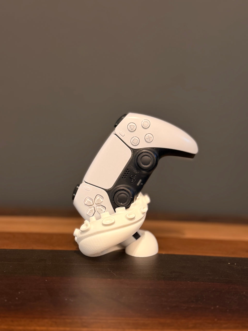 PS5 Controller-Halterung